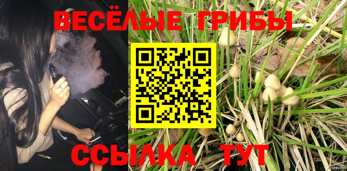 Псилоцибиновые грибы Cubensis Чита
